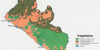 Térkép növényzet térkép Libéria